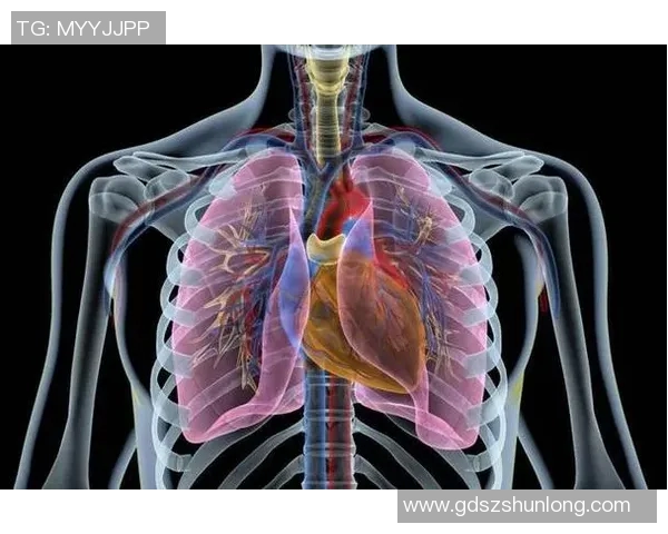 足球场上猝死的大牌球星揭秘：他们的离世背后隐藏的健康真相